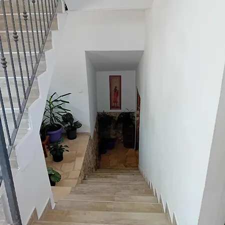 Laura - With Private Swimming Pool Apartment Sibenik