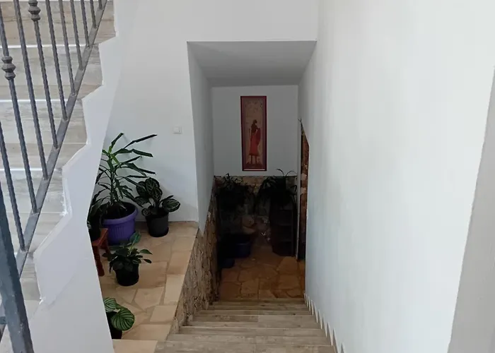 Laura - With Private Swimming Pool 아파트 시베니크